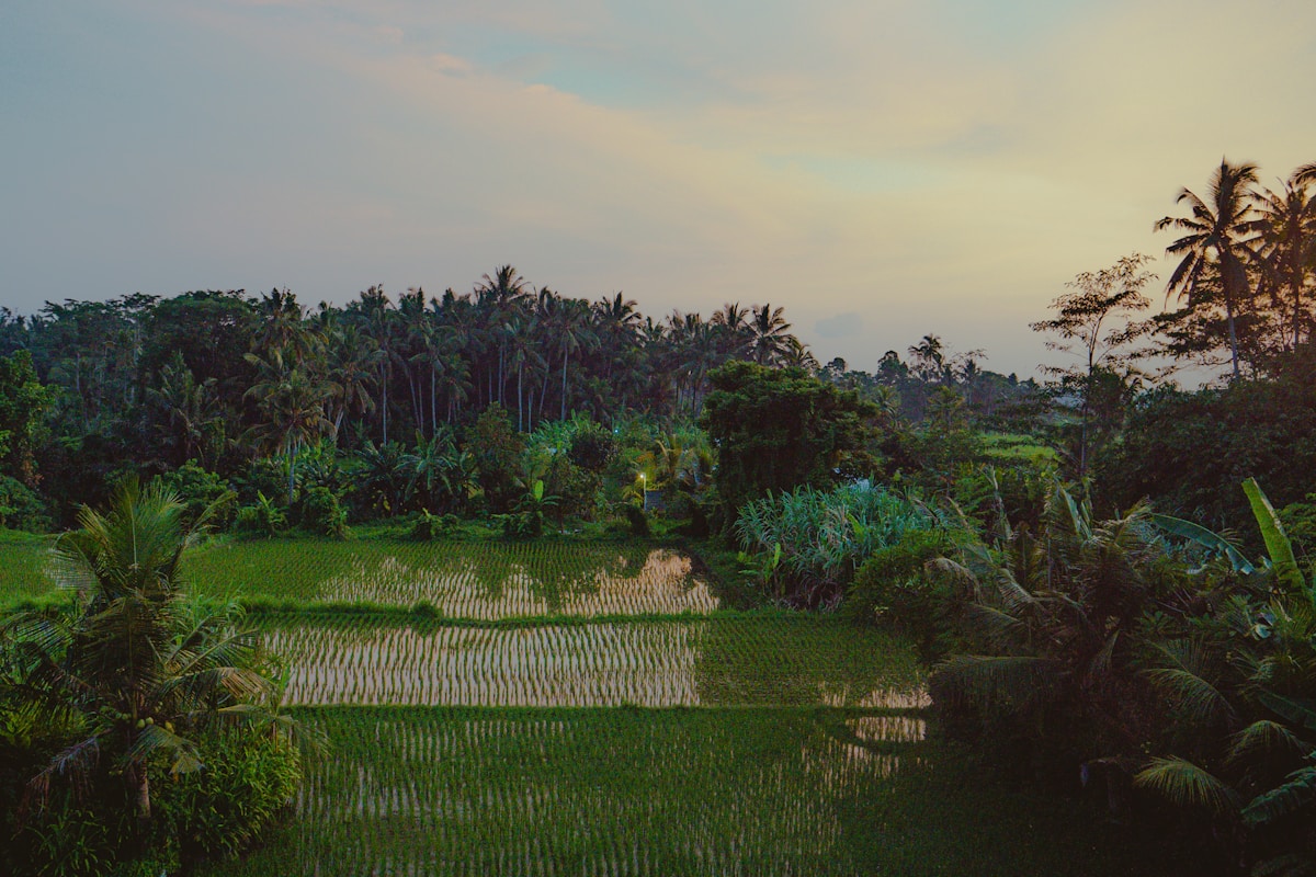 A Weekend in Bali